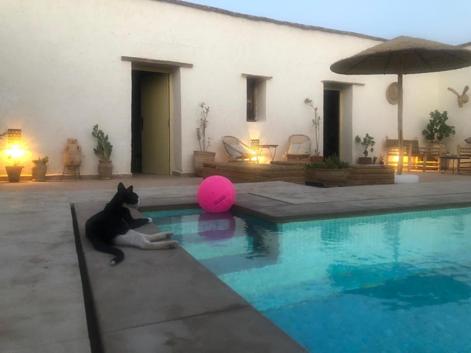 Casa Nel Sahara Hotel Merzane Luaran gambar